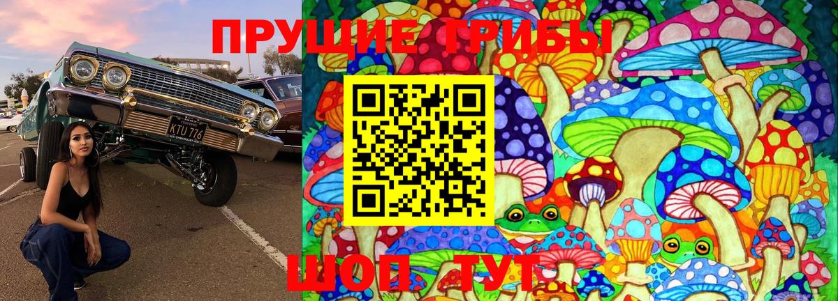 Галлюциногенные грибы Cubensis Рязань